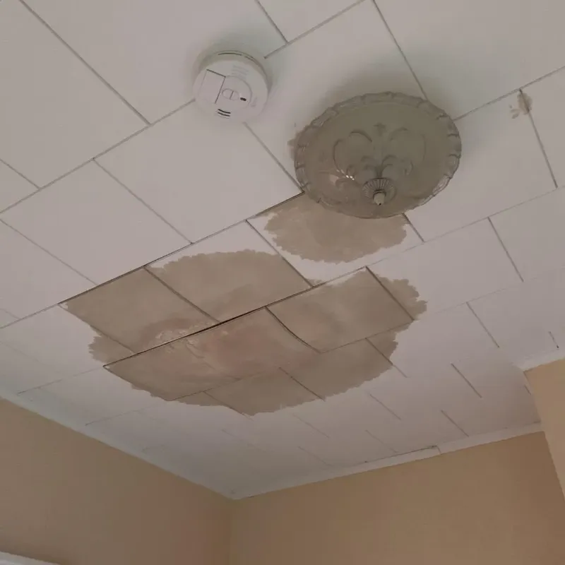 Ceiling Water Damage Repair in Glasgow, MO