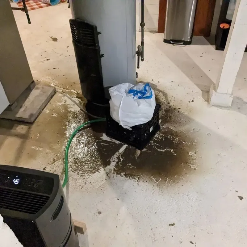 Sewage Backup Cleanup Service in Glasgow, MO